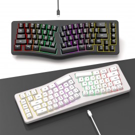 Human Ergonomics Wired 69-Key Compact Keyboard with RGB Backlighting, Transparent Gaming Design, Portable and Comfortable for Home Office Use, USB Powered, Gaming Keyboard, Ergonomic Keyboard, Modern Keyboard